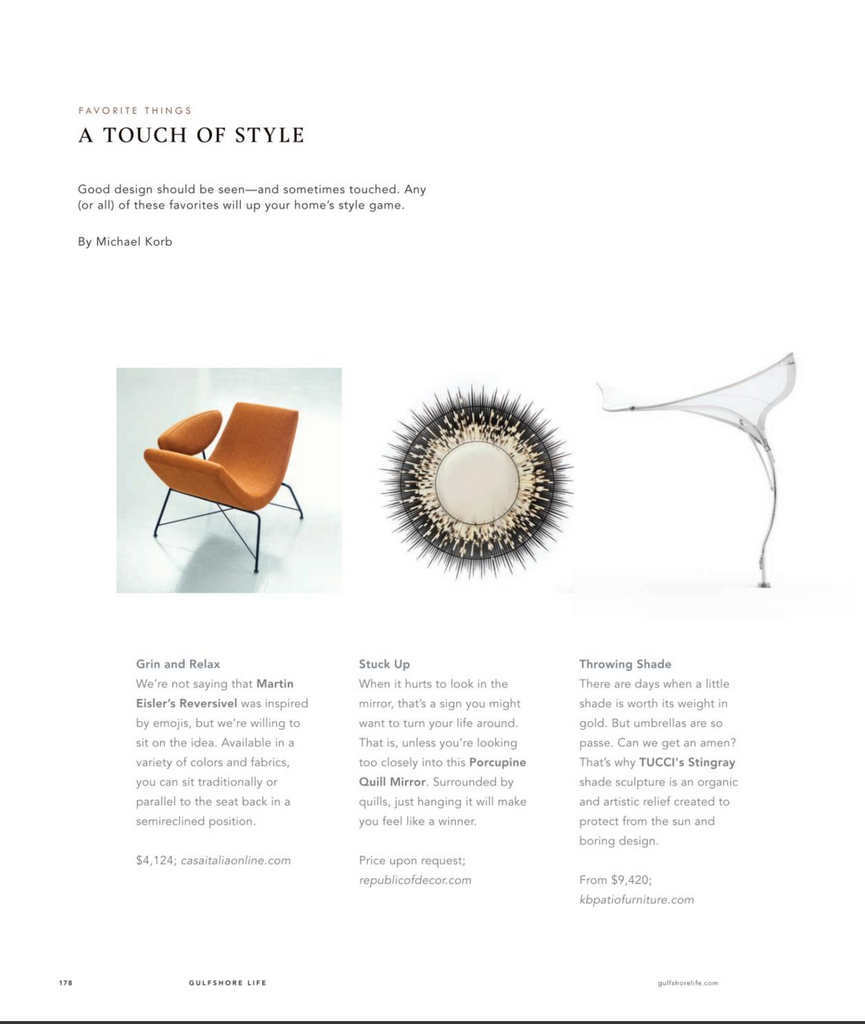 Porcupine Quill Mirror Feature